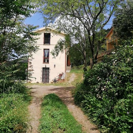 New!Stellaria,appartamento in montagna panorama stupendo-Sardegna) Seùlo Esterno foto