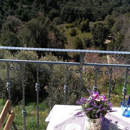 New!Stellaria,appartamento in montagna panorama stupendo-Sardegna) Seùlo Esterno foto