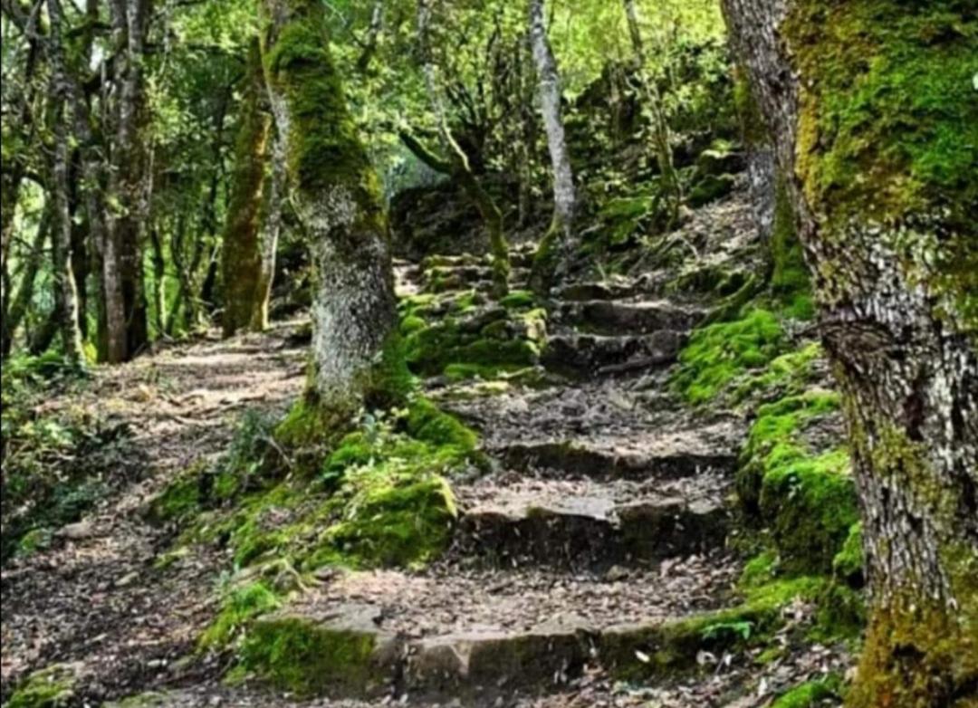 New!Stellaria,appartamento in montagna panorama stupendo-Sardegna) Seùlo Esterno foto