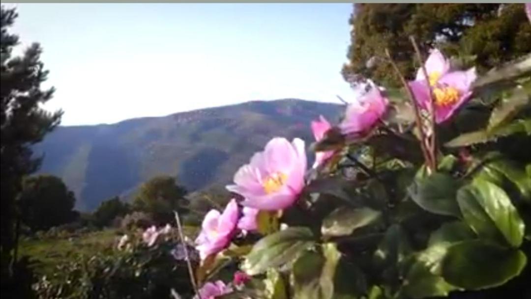 New!Stellaria,appartamento in montagna panorama stupendo-Sardegna) Seùlo Esterno foto
