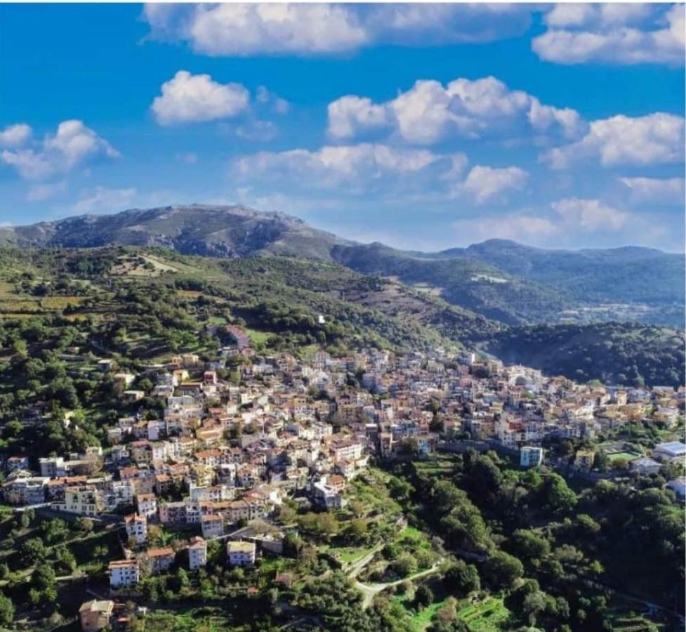 New!Stellaria,appartamento in montagna panorama stupendo-Sardegna) Seùlo Esterno foto