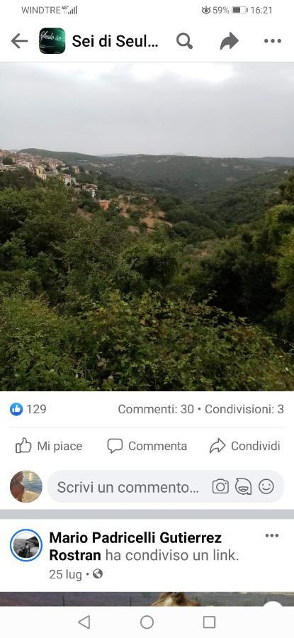 New!Stellaria,appartamento in montagna panorama stupendo-Sardegna) Seùlo Esterno foto