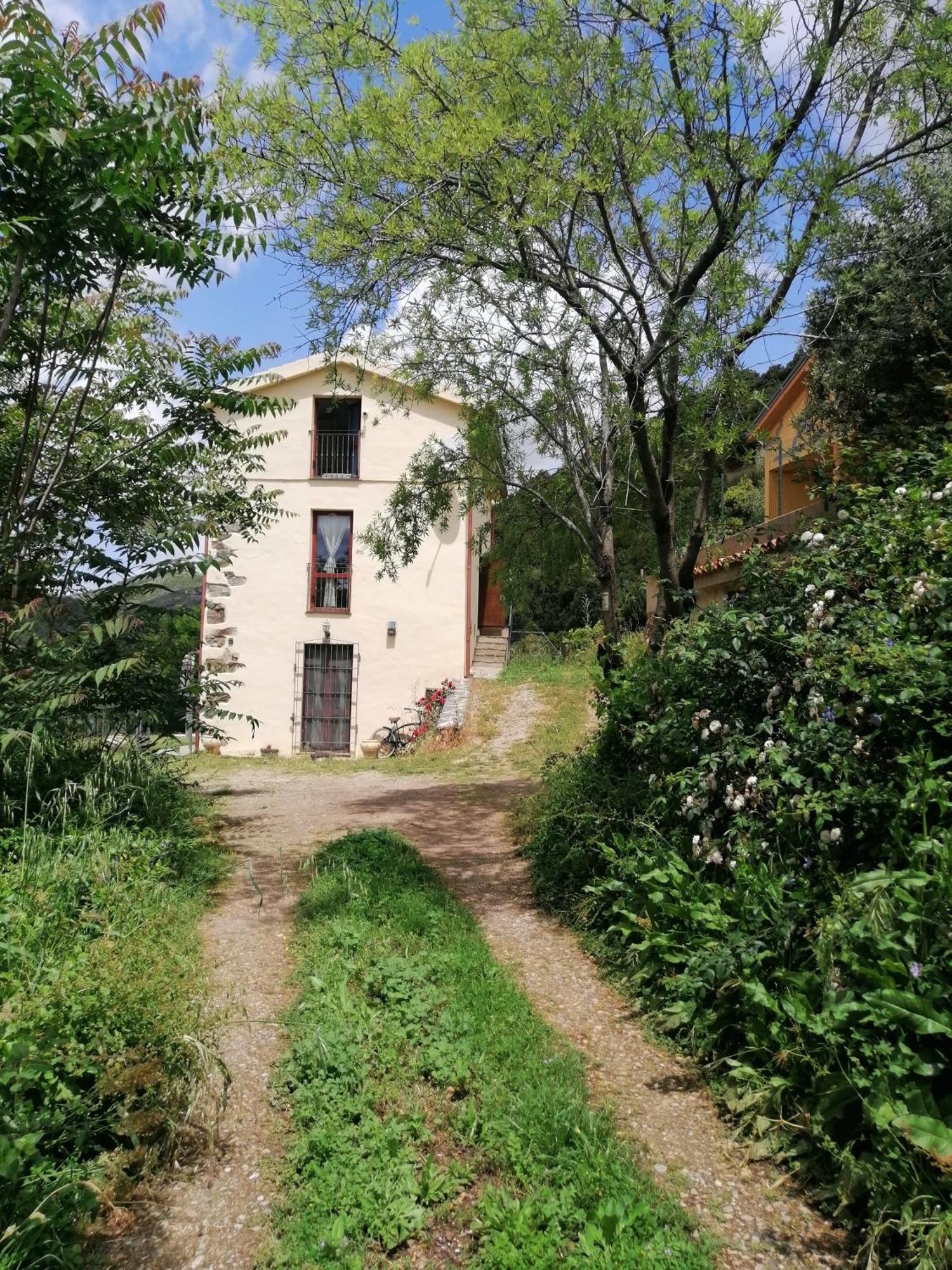 New!Stellaria,appartamento in montagna panorama stupendo-Sardegna) Seùlo Esterno foto