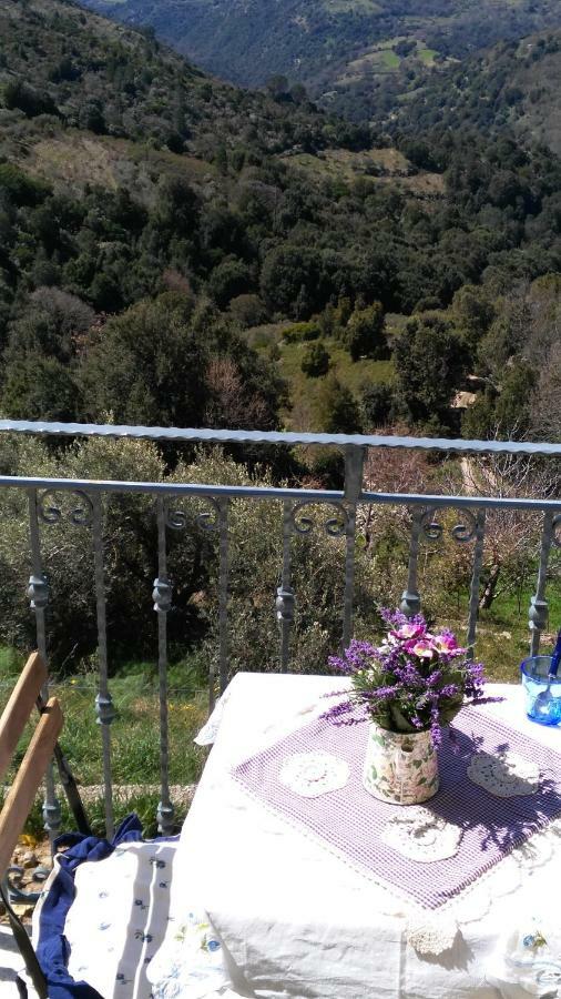 New!Stellaria,appartamento in montagna panorama stupendo-Sardegna) Seùlo Esterno foto