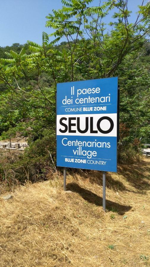 New!Stellaria,appartamento in montagna panorama stupendo-Sardegna) Seùlo Esterno foto