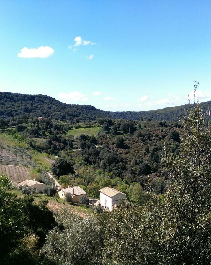 New!Stellaria,appartamento in montagna panorama stupendo-Sardegna) Seùlo Esterno foto