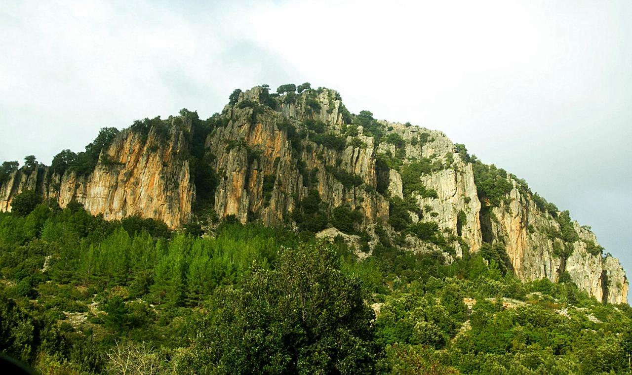 New!Stellaria,appartamento in montagna panorama stupendo-Sardegna) Seùlo Esterno foto