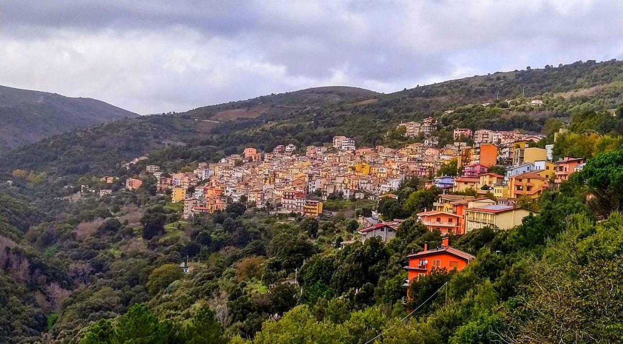 New!Stellaria,appartamento in montagna panorama stupendo-Sardegna) Seùlo Esterno foto
