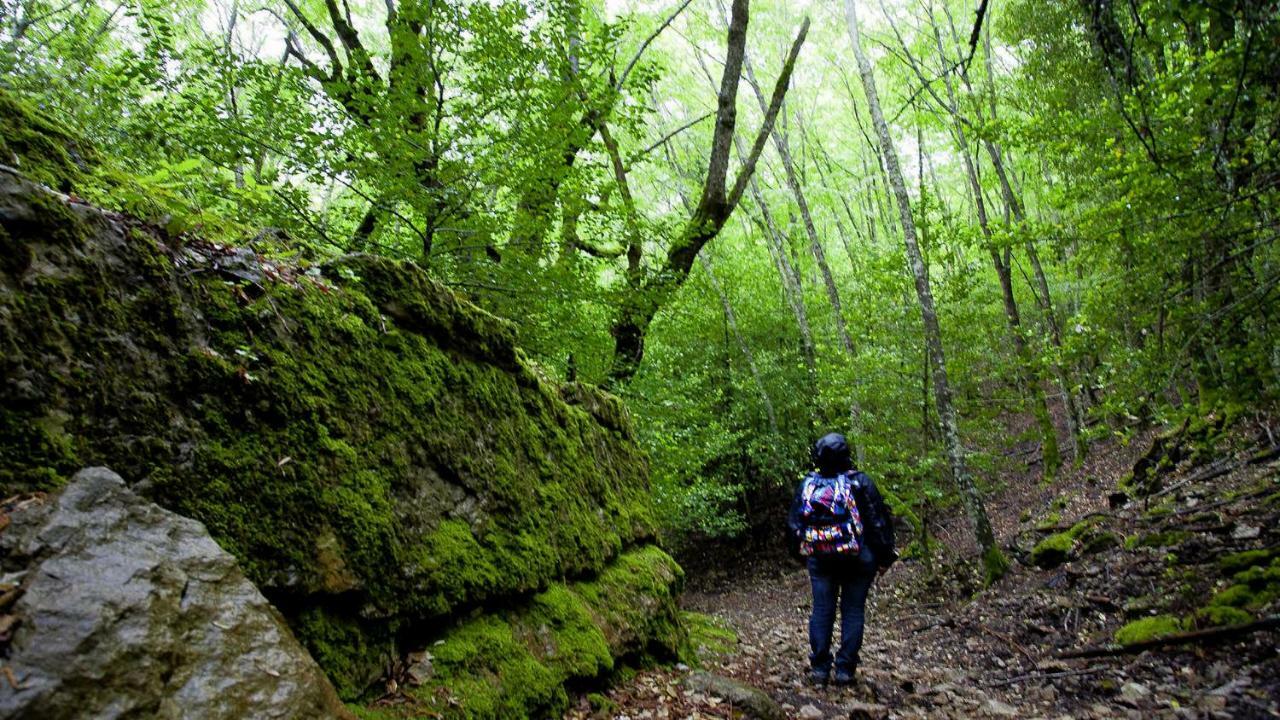 New!Stellaria,appartamento in montagna panorama stupendo-Sardegna) Seùlo Esterno foto